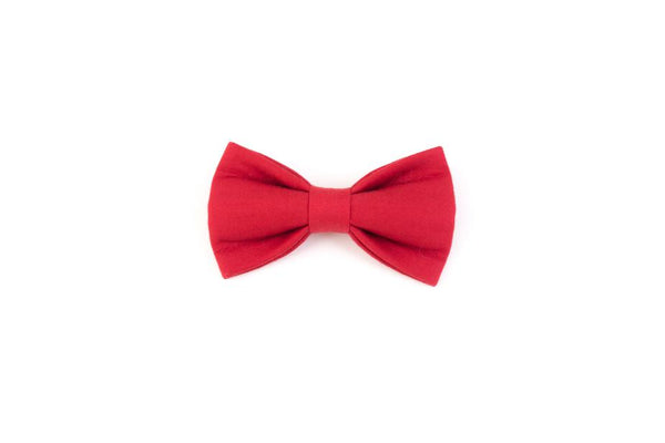 Doggie Neck-Ties